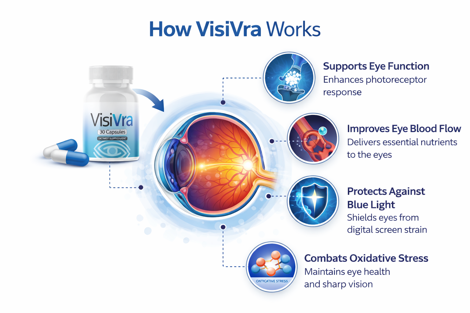 How Visivra works — supports eye function and photoreceptors, improves eye blood flow, protects against blue light, and combats oxidative stress